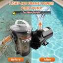 W3SP1580X15 1.5 Horsepower Pool Pump, 60Hz, 3450RPM Single Speed Motor Compatible with Hayward PowerFlo LX Series Square Flange 48Y Frame Pool Pump for Above Ground and On Ground Swimming Pool