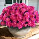 Juxdp 16 Bundles Artificial Camellia for Front Door Outside - Faux UV Resistant Real Looking Camellia Flowers Fake Silk Bouquets Plants for Garden Window Farmhouse Home Spring Summer Decor (Rose Red)