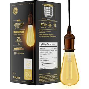 GE Vintage Style LED Light Bulb, 25 Watt, Amber Finish, ST19 Edison Style Bulb (1 Pack)