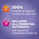 Purina Friskies Pate Wet Cat Food Variety Pack Seafood and Chicken Pate Favorites 40ct VP - (Pack of 40) 5.5 oz. Cans