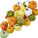 Winlyn 30 Pcs Assorted Rustic Harvest Artificial Pumpkins Gourds Squashes Decorative Fall Pumpkins Fake Foam Pumpkins Autumn Party Thanksgiving Halloween Table Centerpiece Wreath Mantle Bowl Filler