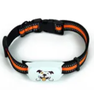 Beardpet's 4G GPS tracker for Dogs