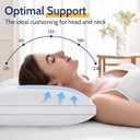 ROUMEA Pillows King Size Set of 4,Luxury Hotel Quality, Supportive with Soft Down Alternative for Back Stomach Sleepers in Bedroom, Machine Washable