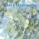 4 Pcs 20'' Real Touch Hydrangeas 2 White 2 Light Blue Artificial Hydrangeas Flowers Faux Latex Hydrangea for Kitchen Living Room Porch Home Decor Baby Shower Party Wedding Table Centerpiece