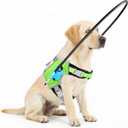 [Updated] LetPetRun Blind Dog Halo Harness, Protective Halo Collar with Reflective Straps, Confidence Building Guiding Device Adjustable Size, Blind Dog Accessories, XS