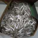 KNONEW 99ft 1216 LED Christmas Lights Outdoor Decorations with 228 Drops, 8 Modes Curtain Fairy String Light, Clear Wire LED String Light Indoor Decor for Wedding Party Christmas (Warm White)