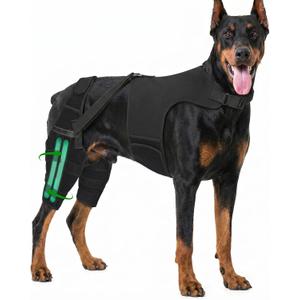 Dog Leg Braces for Back Leg, Adjustable Dog Knee Brace with 4 Stabilizers, Hip Support to Reduces Pain, Ligament Injuries & Luxating Patella & ACL CCL for Dogs