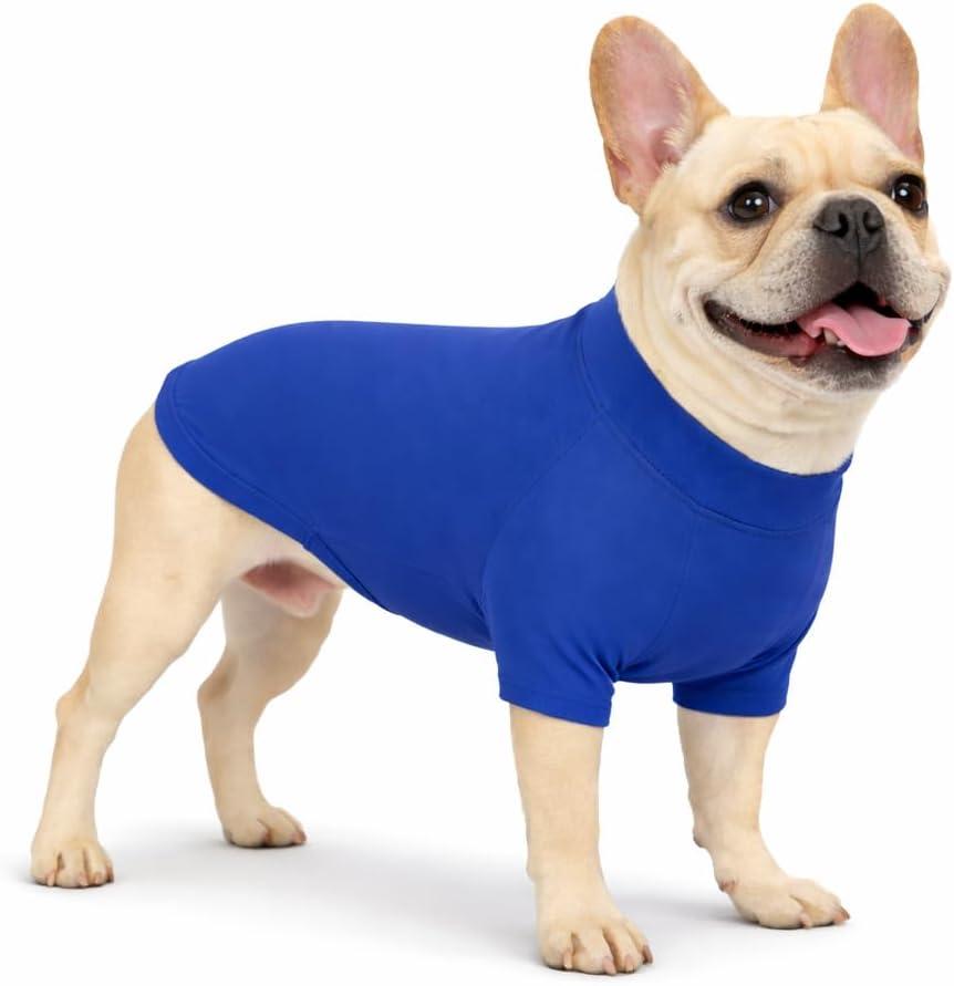 Premium Yoga-Fabric Dog T-Shirt – Breathable, Stretchy, Anti-Shedding Pet Clothes for All Seasons, Small to Large Dogs, Royal Blue, XS