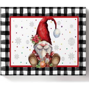 Savannan DIY Paint by Numbers, Christmas Gnome Poinsettia Snowflake Colored Ball Oil Lamp Winter Red White Framed Canvas Acrylic Painting Kit Drawing Paintwork for Adults Kids Beginner, 20"x16"