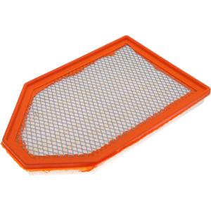 FRAM Extra Guard CA11257 Replacement Engine Air Filter for Select Chrysler and Dodge Models, Provides Up to 12 Months or 12,000 Miles Filter Protection (One Size)