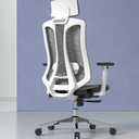Ergonomic Office Chair, High Back Mesh Desk Chair - Adjustable Lumbar Support & 3D Armrests, Swivel Computer Chair with Headrest, Tilt Lock & PU Wheels for Home Office, Long Hours Work
