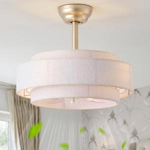 20" Fandelier Ceiling Fans with Lights, Caged Boho Ceiling Fan with Light Remote Control, Mid Century Modern with 6 Speeds for Bedroom, Nursery, Living Room
