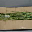3FT Artificial Reed Grass ,2 Pack Artificial Tall Grass Plants Outdoor Indoor ,Fake Plants & Flowers in Pot-Housewarming gifts For Living Room Office Bedroom Decor