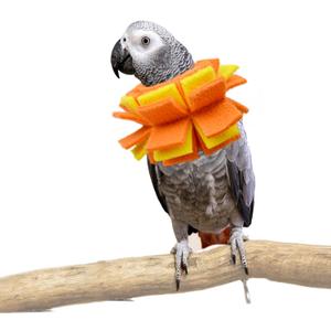 Neck Collar for African Grey Parrots Feather Plucking Bird Anti Bite Collar Neck Shield