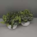 Winlyn Set of 2 Small Artificial Potted Plants Faux Eucalyptus Plant in White Geometric Ceramic Pots Small Desk Potted Plants 7.1" Tall for Home Office Room Decorations Wedding Greenery Centerpiece