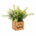 Bambeco LED Wood Box