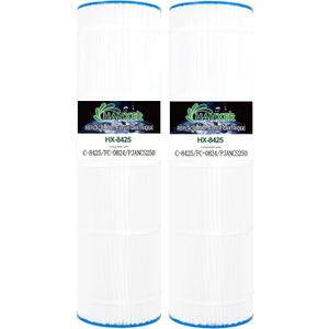 HANXER Pool Filter Replaces for C-8425, Filbur FC-0824, CS250, R0462500, PJANCS250, 17-175-3630, XLS-830, 82501, 250 Sq.Ft Swimming Pool Filter Cartridge, 2 Pack