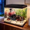 Coospider 10 Gallon Glass Fish Tank, Aquarium Starter Kit, Simple Self-Cleaning Aquarium with 3-Color LED Lights, Quiet Filter Pump, Temperature Monitoring for Fish, Shrimp, Kids Gift Ideas