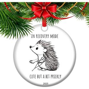 Hip Surgery Recovery Ornament 2025 in Recovery Mode Cute But Prickly Gift for Patients Post Op Cheer Ceramic Keepsake Christmas (V3)