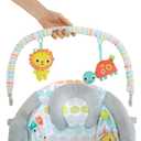 Bright Starts Comfy Baby Bouncer Soothing Vibrations Infant Seat - Taggies, Music, Removable -Toy Bar, 0-6 Months Up to 20 lbs (Whimsical Wild)