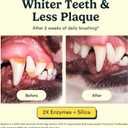 Jasper Dog Tooth Brushing Kit and Dog Toothpaste Kit 360 Dog Toothbrush Enzymatic Plaque Remover Improves Bad Breath Natural Pet Toothpaste Dog Toothbrush and Toothpaste 2 oz Chicken Flavor