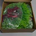 Dingion 8 Pcs 9.8" Small Christmas Cabinets Wreaths Mini Wreaths for Kitchen Window Chair Backs with Ribbon Bell Artificial Greenery for Farmhouse Holiday Decoration (Velvet,Elegant,Dark Red)