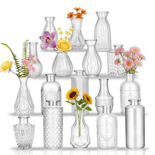 Glass Bud Vases in Bulk Set of 17, Transparent Clear Small Mini Vases for Flowers, Vintage Vase for Centepiece, Wedding, Table Decor, Baby Shower, Christmas, Home and Events