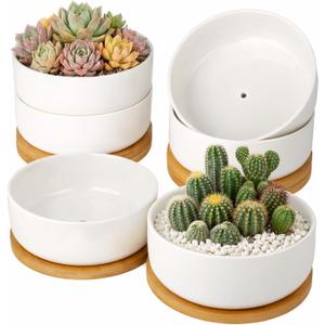 ZOUTOG Succulent Pots,6 Inch Succulent Planters with Drainage and Tray,White Ceramic Planters for Indoor Plants,Round Shallow Flower Plant Pots,Pack of 6, Size: 2.28 Inch High