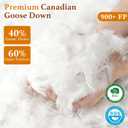 Premium Canadian Goose Down Pillow Queen Size Set of 2 Pack, 900+ Fill Power, 100% Cotton Shell, Luxury Hotel Quality Bed Feather Pillow for Side Back Stomach Sleepers(White,20" x 30")