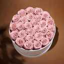 Prifroti 27 Flowers in a Luxury Suede Box, Birthday Gifts for Women, Preserved Flowers, Mothers Day Roses Gift for Mom, Dusty Rose