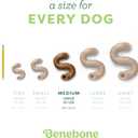 Benebone Tripe Bone Durable Dog Chew Toy for Aggressive Chewers, REAL Beef, Made in USA, Medium