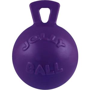 Jolly Pets Tug-n-Toss Heavy Duty Dog Toy Ball with Handle, 8 Inches/Large, Purple
