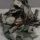 LITBLOOM Lighted Eucalyptus Garland Battery Operated with Timer 6FT 96 LED Artificial Greenery Twig Vine Lights for Room Stairs Mantle Wedding Holiday Decoration Indoor Outdoor