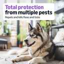 Amazon Basics Flea and Tick Topical Treatment and Prevention for Large Dogs (45-88 lbs), Fast Acting and Long Lasting, Tick Prevention, 6 Count, Packaging May Vary