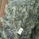 National Tree Company First Traditions Arcadia Pine Cashmere Slim Christmas Tree with Hinged Branches, 6 ft