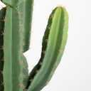 Nafresh UV-Resistant Artificial Fake Cactus Plants 4ft – Large Faux Cowboy Cactus for Indoor & Outdoor Home, Office, or Garden Decor