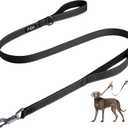 Fida 4 FT Heavy Duty Dog Leash with 2 Comfortable Padded Handles, Traffic Handle & Advanced Easy Snap Hook, Reflective Walking Lead for Large, Medium & Small Breed Dogs (4 FT x 1" Wide, Black)