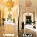 Hanging Light Ceiling Lamp Pendant Lights Rattan Hanging Lamp with Plug in Cord for Living Room Bedroom Kitchen Indoor Hanging Lamp Plug in Woven Lampshade
