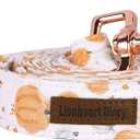 Lionheart glory Halloween Strong Dog Leash, Durable Dog leashes with Soft Handle for Walking Training Small Male or Female Dogs (Small (Pack of 1)