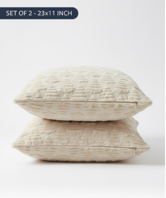 Set of 2 Soft Plush Short Wool Velvet Decorative Throw Pillow Covers 23*11