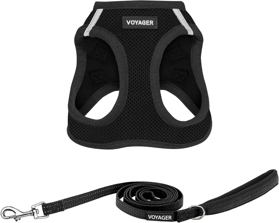 Voyager Step-in Air All Weather Mesh Harness and Reflective Dog 5 ft Leash Combo with Neoprene Handle, for Small, Medium and Large Breed Puppies by Best Pet Supplies - Set (Black), M (M (Chest: 16 - 18"))