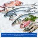 Hemoton 40 pcs Thermal Insulated Bubble Mailers Disposable Insulation Shipping Bags Thermal Box Liners Thermal Padded Envelopes Insulation Bag for Food Fruit Take- out (20x30CM)