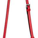 Allzedream Leather Purse Strap Replacement Crossbody Handbag Long Adjustable (Red, Silver Hardware)