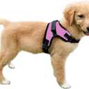 No Pull Reflective Adjustable Dog Harness with Handle- Comfortable Soft All Weather Mesh, Easy On Puppy Harness for Small Medium and Large Dogs (Pink) Small