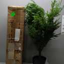 5FT Artificial Topiary Trees for Outdoor Front Porch Dcor, Faux Pine Trees UV Resistant and Potted, Fake Shrubs Evergreen for Front Porch Decor Indoor and Outdoor Use