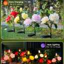 Brightown Outdoor Solar Garden Lights - 4 Pack LED Flower Lights with Realistic Rose, Bigger Solar Panel, Waterproof for Yard & Patio Decorations