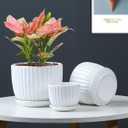 Ton Sin White Plant Pots Set of 3,Indoor Ceramic Flower Pot with Saucers,6.7"&5.5"&3.9" Inch Small to Medium Sized Planters for Plants,Round Modern Garden Pots