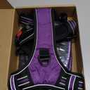 No Pull Dog Harness Adjustable Reflective Oxford Easy Control  Dog Harness with A Free Heavy Duty 5ft Dog Leash Medium