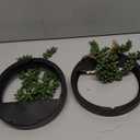 Der Rose 2 Pack Fake Plants Hanging Artificial Succulents Plants in Black Pots for Living Room Bathroom Accessories Boho Farmhouse Wall Decor