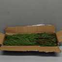 14 Pcs Norfolk Pine Stems, 18 Inch Real Touch Artificial Christmas Norfolk Pine Branch, Faux Greenery Picks for Vase DIY Garland Home Holiday Decor